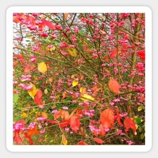 red leaves Sticker